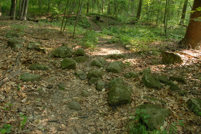 dirt path, dirt trail, path, trail, trees, woods, rocks
