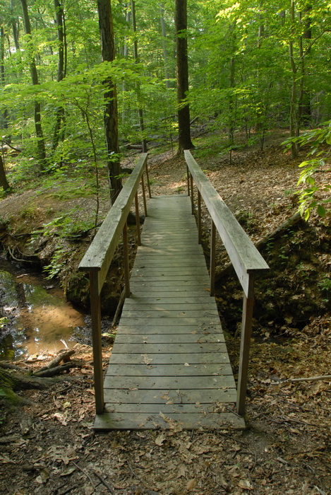 bridge, stream, ground cover, rocks, trees, woods