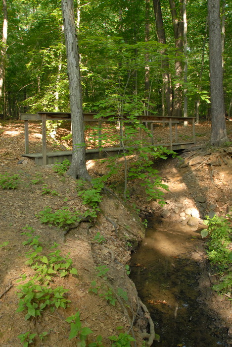 bridge, ground cover, rocks, stream, trees, woods