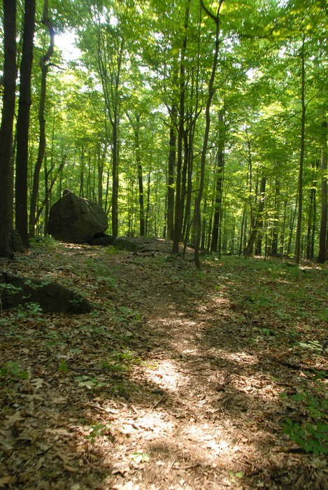 boulder, Tent Rock, dirt path, dirt trail, glacial erratic, path, trail, trees, woods