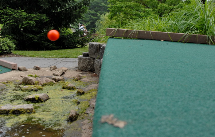 minigolf, golf ball, action, movement, jump, obstacle, water, algae
