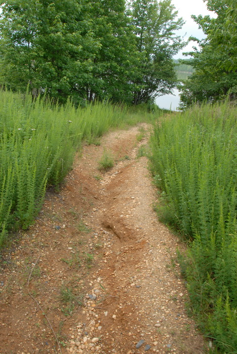 dirt path, overgrown, overtaken by nature center, plants, trees, water, erosion