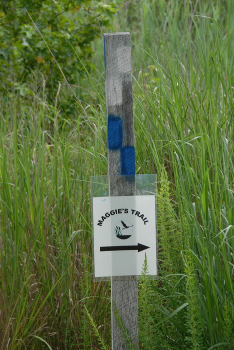 blaze, grass, maggie's trail, sign, post