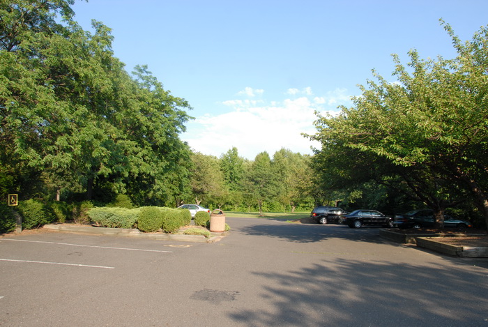 parking lot, Blue Sky And, cars, trees, bushes, line