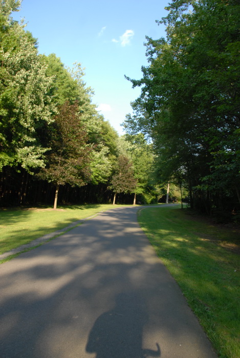 paved path, bike path, shadows, blue sky and, trees, grass, woods