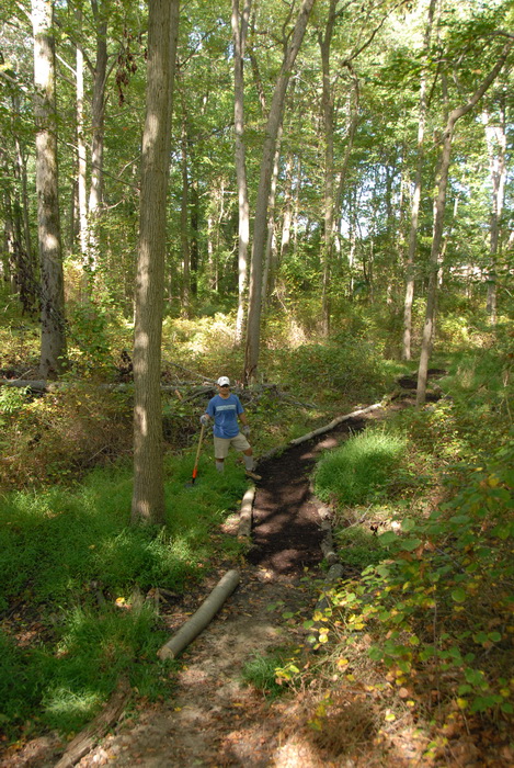 path, tools, trail, trail maintenance, trees, woods, S.M.A.R.T.