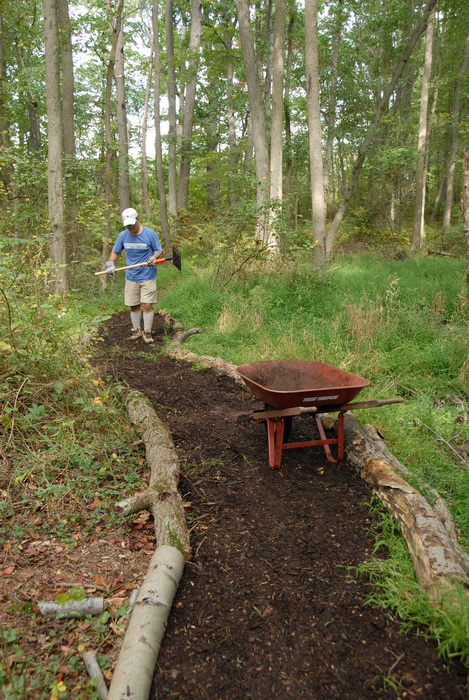 path, tools, trail, trail maintenance, trees, woods, S.M.A.R.T.