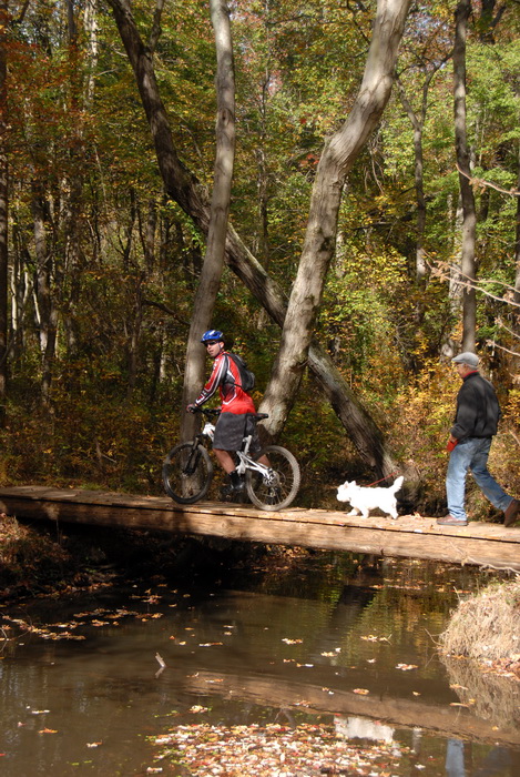 mountain bike, mountain biking, dog, hiker, bridge, woods, trees, ground cover