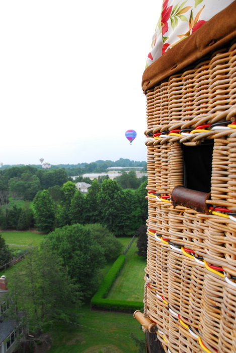 floating, hot air balloon, basket, trees, flying, grass