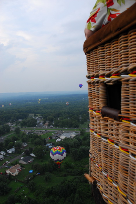 hot air balloon, mass launch, floating, flying, trees, fields, up in the air