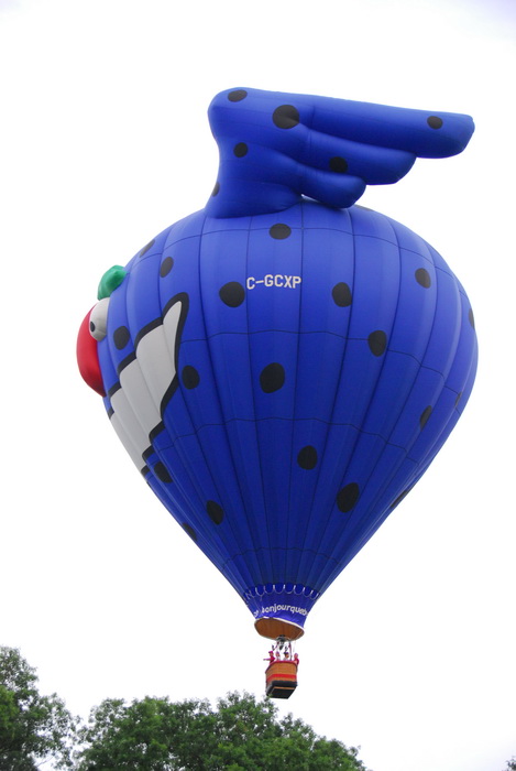 hot air balloon, interesting shape, floating, flight