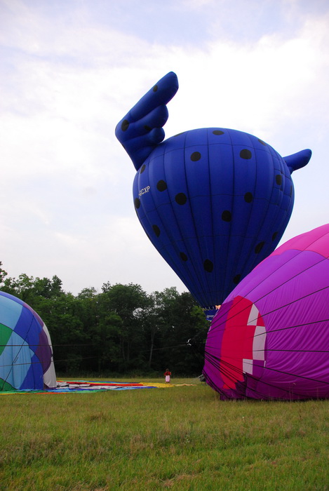 flight, floating, hot air balloon, interesting shape, landing