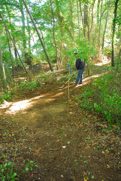 JORBA, S.M.A.R.T., leaves, path, trail day, trail maintenance, trails, trees, woods, undergrowth
