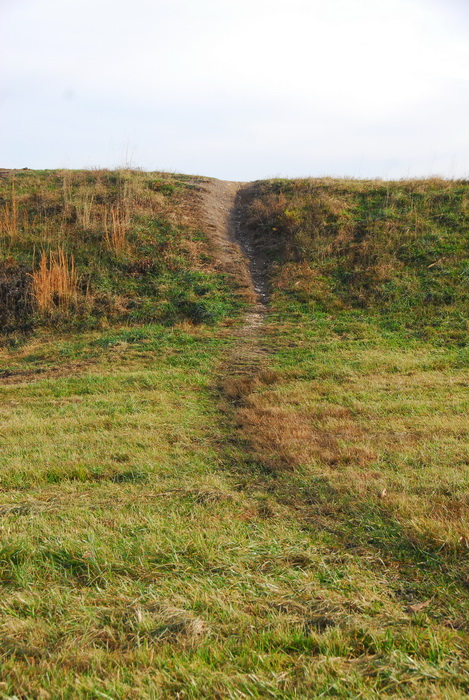 bike path, dirt path, field, grass, trail, erosion