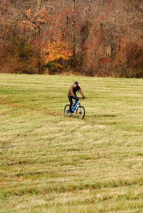 bike path, dirt path, field, grass, trail, trees, mountain bike