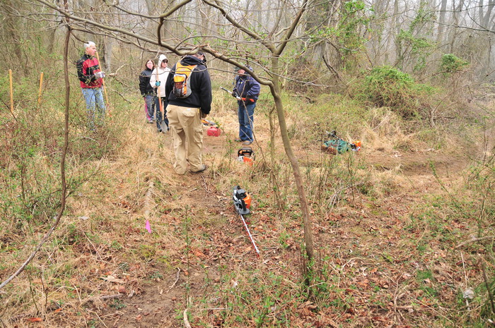 grass, ground cover, people, tools, trail work, trees, woods, Mercer County Park, JORBA Trail Day, March 2012