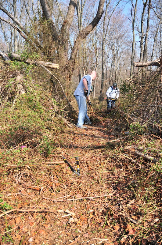 ground cover, new trail, tools, trail workers, trees, Mercer County Park, JORBA Trail Day, March 2012