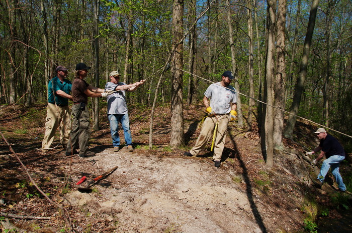 leaves, pull, rope, spring, stream, trail maintenance, trees, volunteer, water, woods