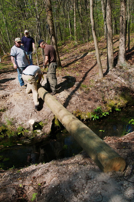 leaves, log, spring, stream, trail maintenance, trees, volunteer, water, woods
